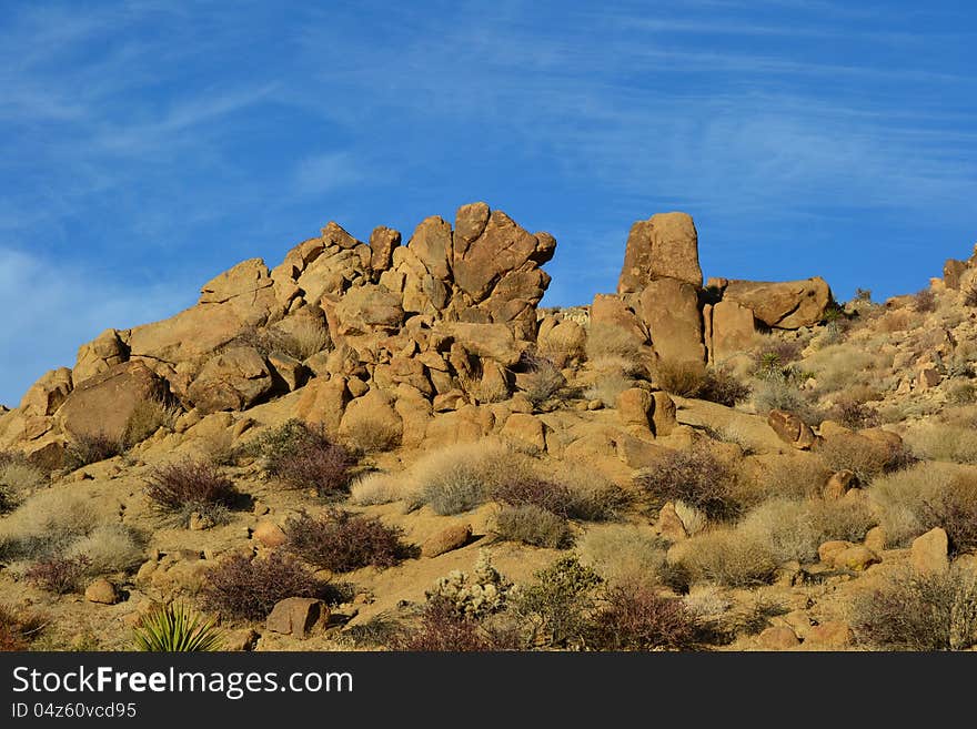 Rocks in the desert