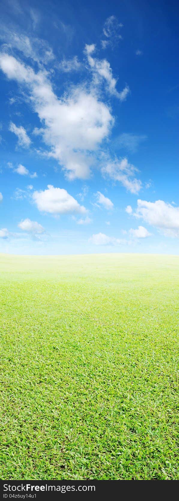 Green field and blue sky. Green field and blue sky