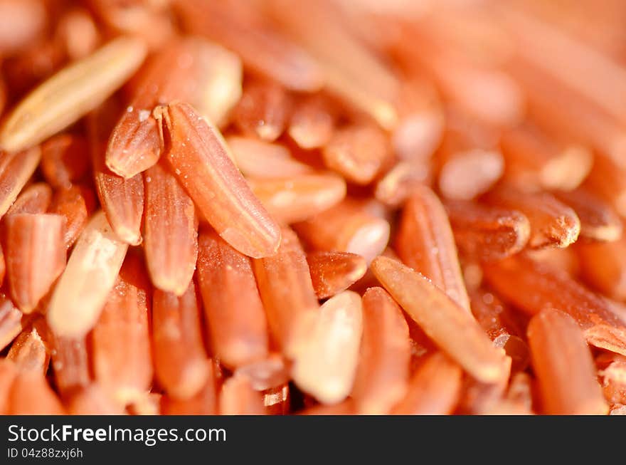 Organic brown rice ; source of vitamin and dietary fiber. Organic brown rice ; source of vitamin and dietary fiber.