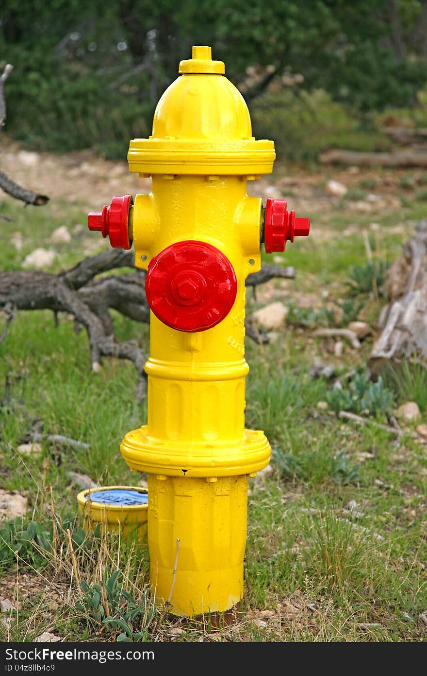 Image of a yellow fire hydrant