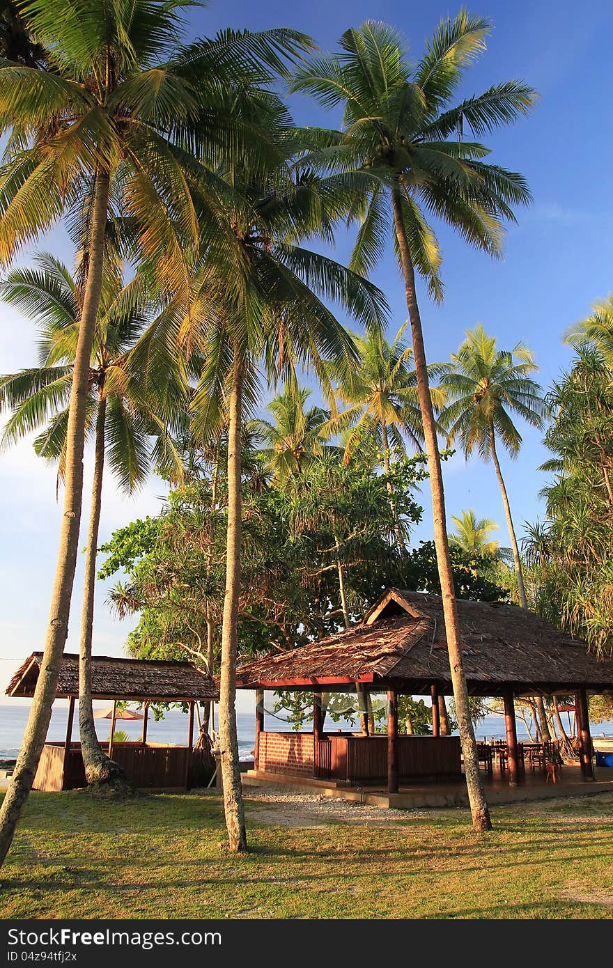 Morning view in the tropical beach. Morning view in the tropical beach