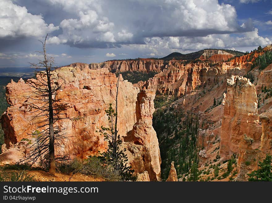 Great Spires Carved, Bryce Canyon