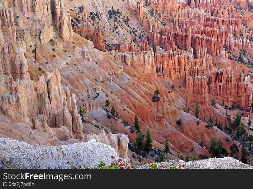 Great spires carved away by erosion in Bryce Canyon National Park, Utah, USA.