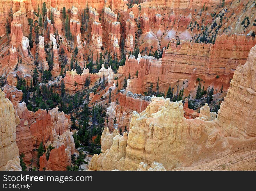 Great spires carved away by erosion in Bryce