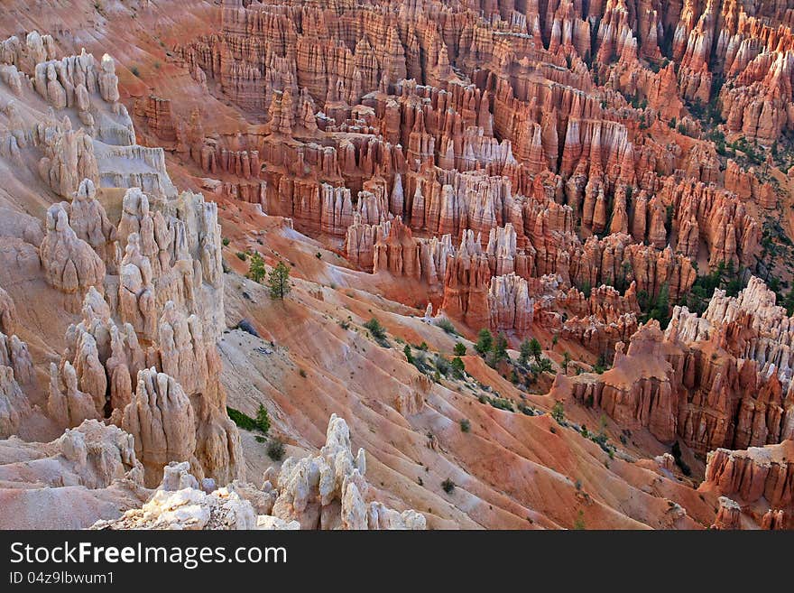 Rock Formation In Bryce Canyon