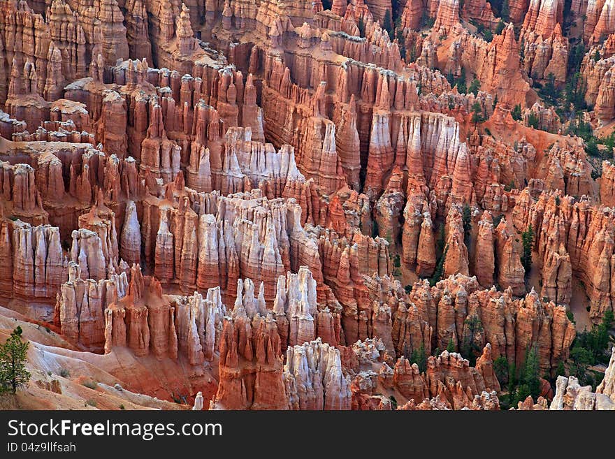 Rock formation in Bryce Canyon