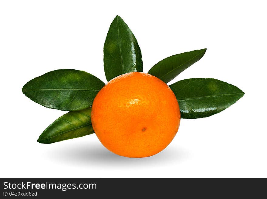 Juicy tangerine with green leaflets