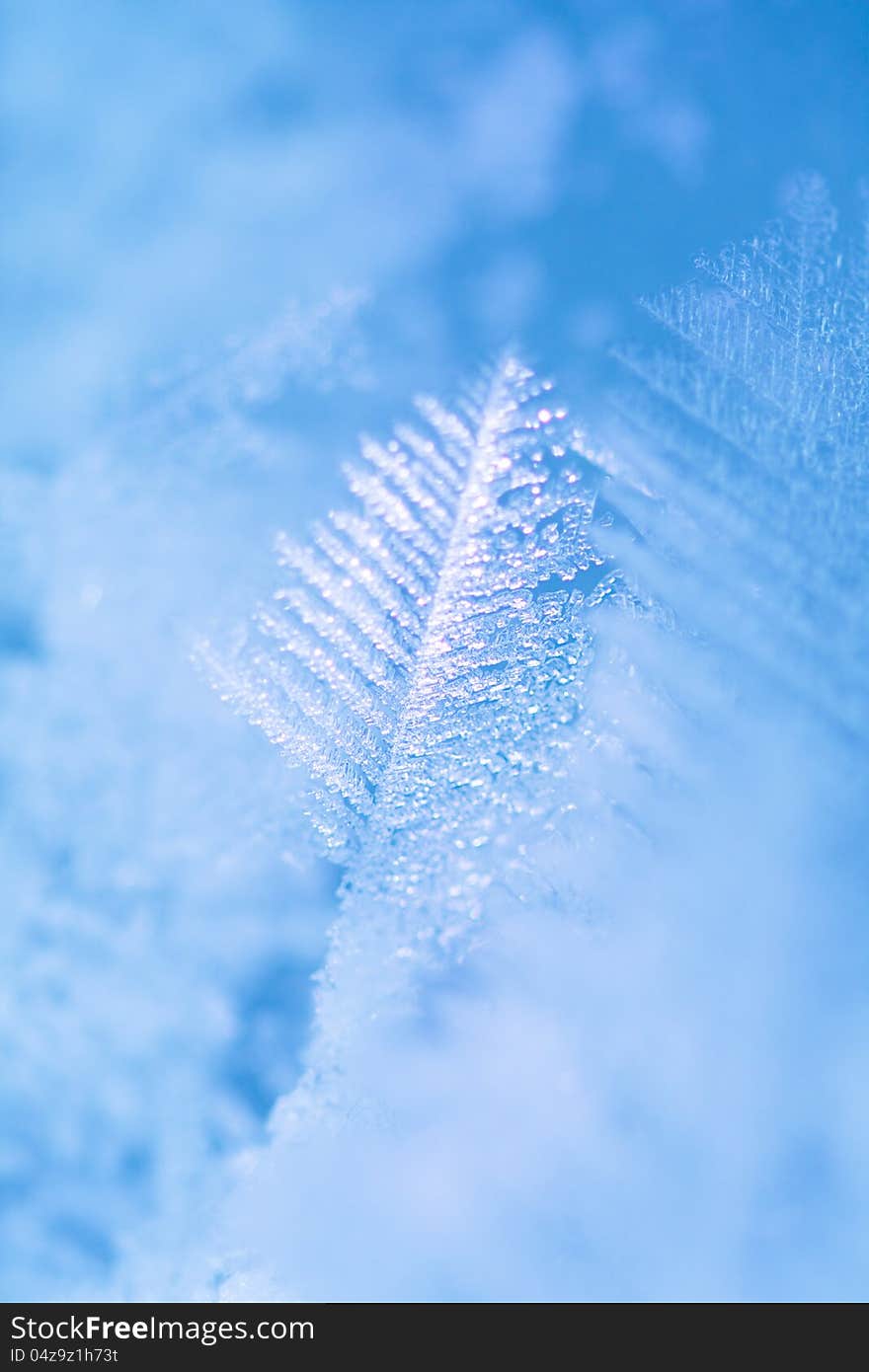 The frosty pattern of a snow.