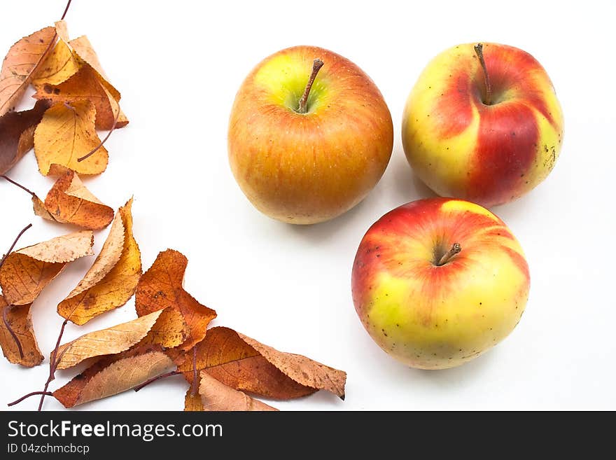 Three Jonathan apples and some yellow leaves in a fall decoration isolated white. Three Jonathan apples and some yellow leaves in a fall decoration isolated white