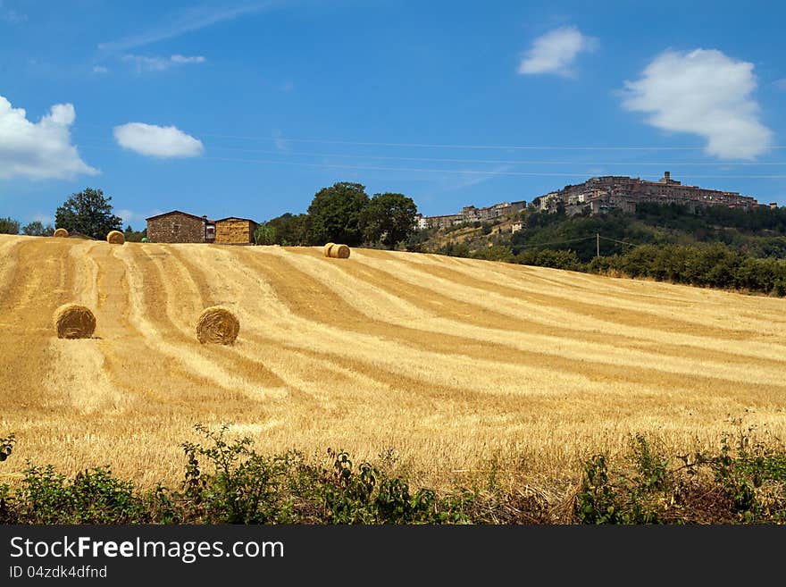 Tuscan landscape