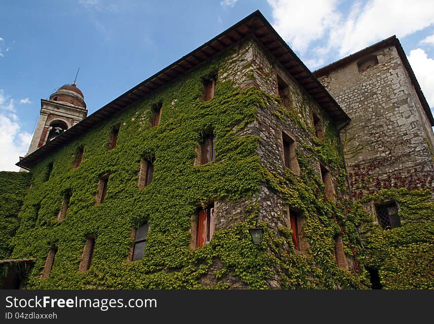 Ivy-covered house in Tuscany, Italy