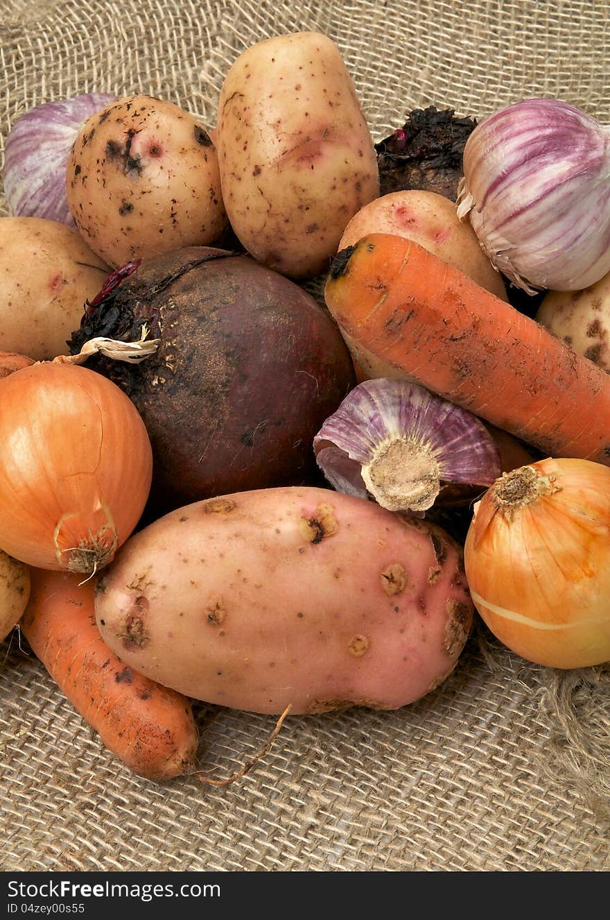 Raw Vegetables with Potato, Carrot, Beet, Onion and Garlic closeup on Sacking background