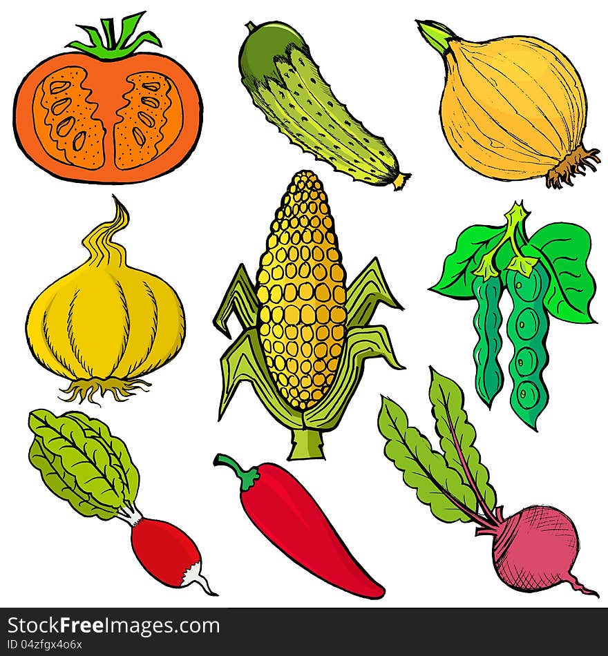 Set of hand drawn, , cartoon illustration of vegetables