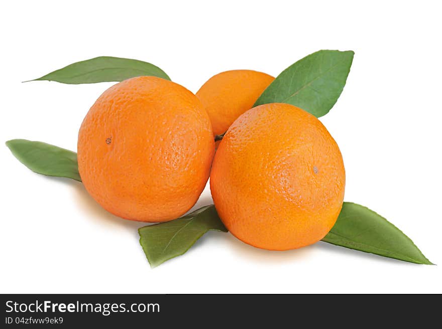 Fresh Tangerines With Green Leaves