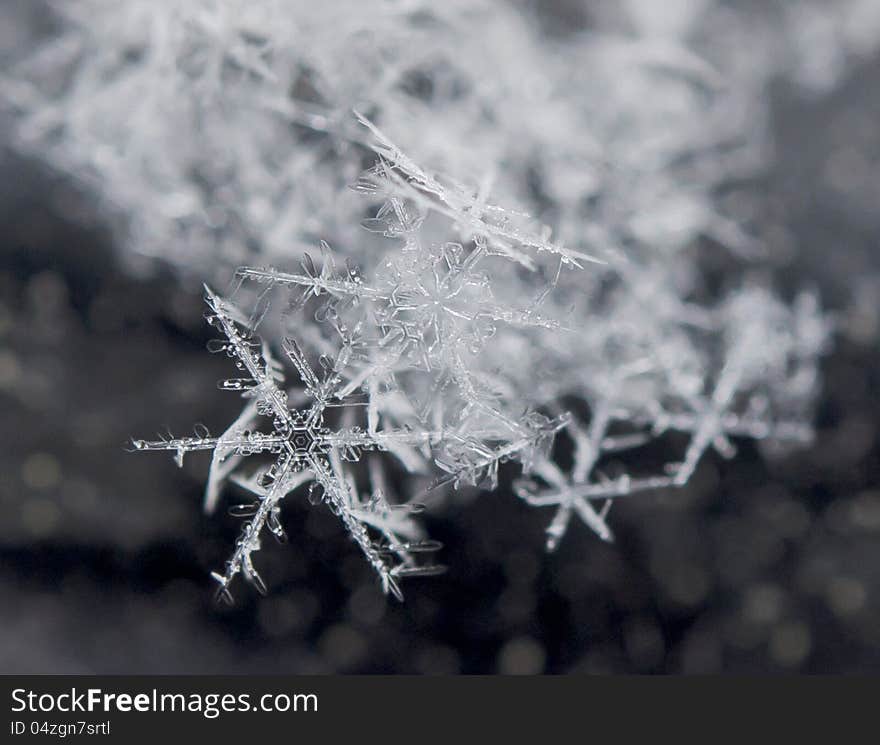 A close up of random snowflakes. A close up of random snowflakes