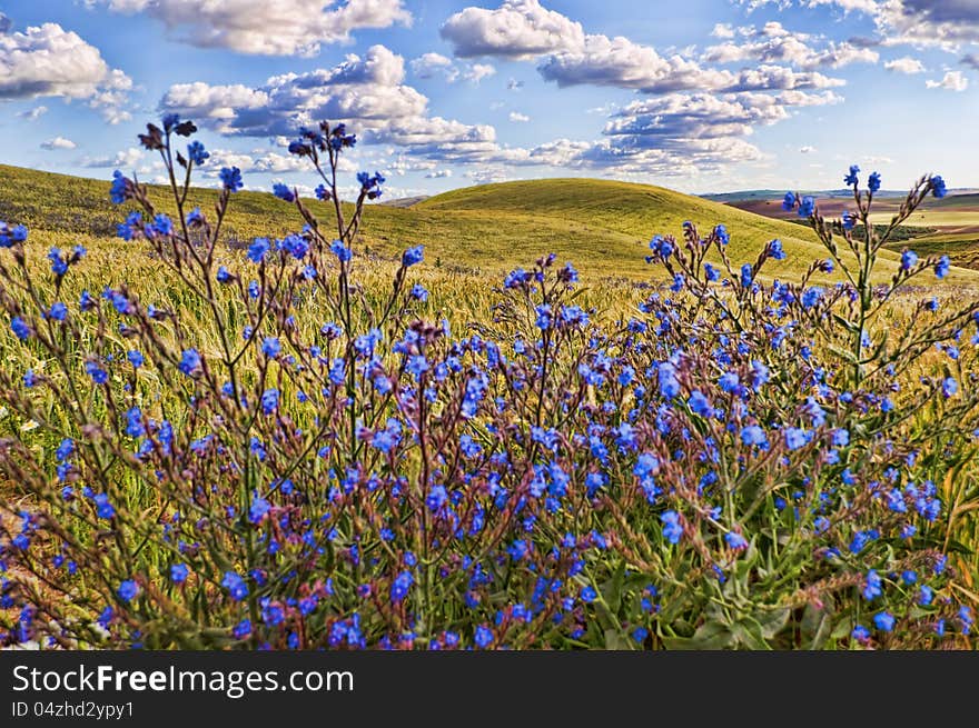 Rural landscape with cloudy sky as background