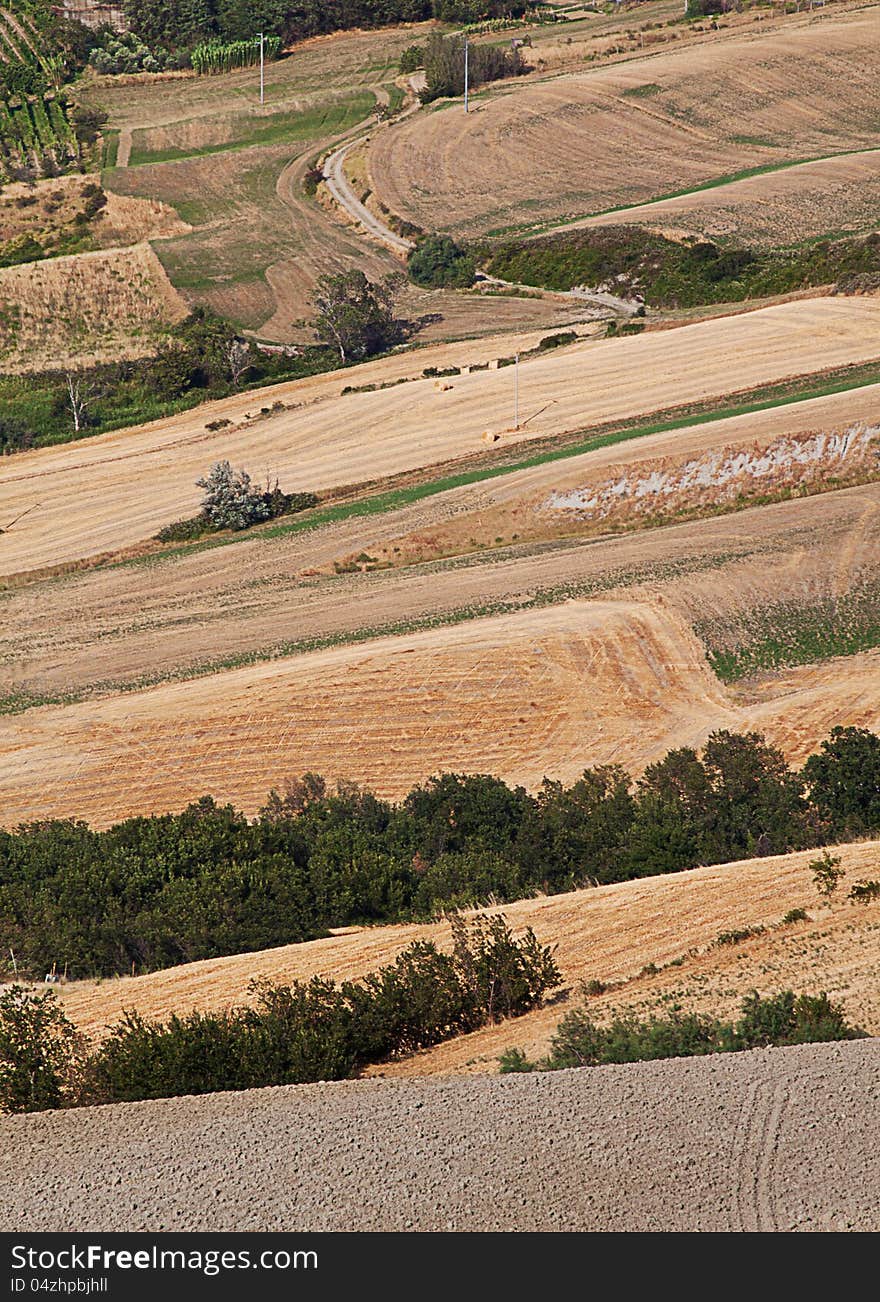 Agriculture landscape