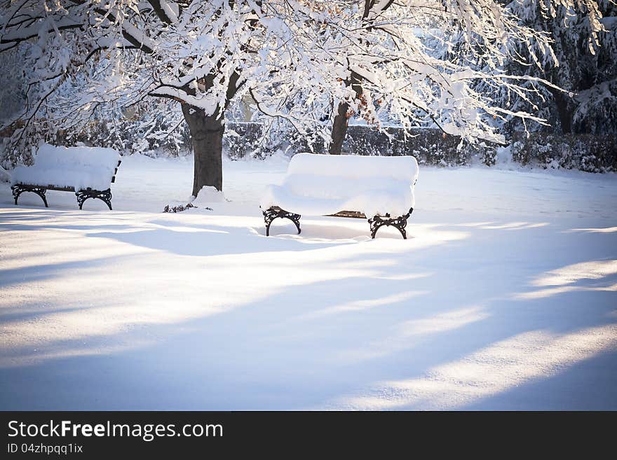 Beautiful winter scene