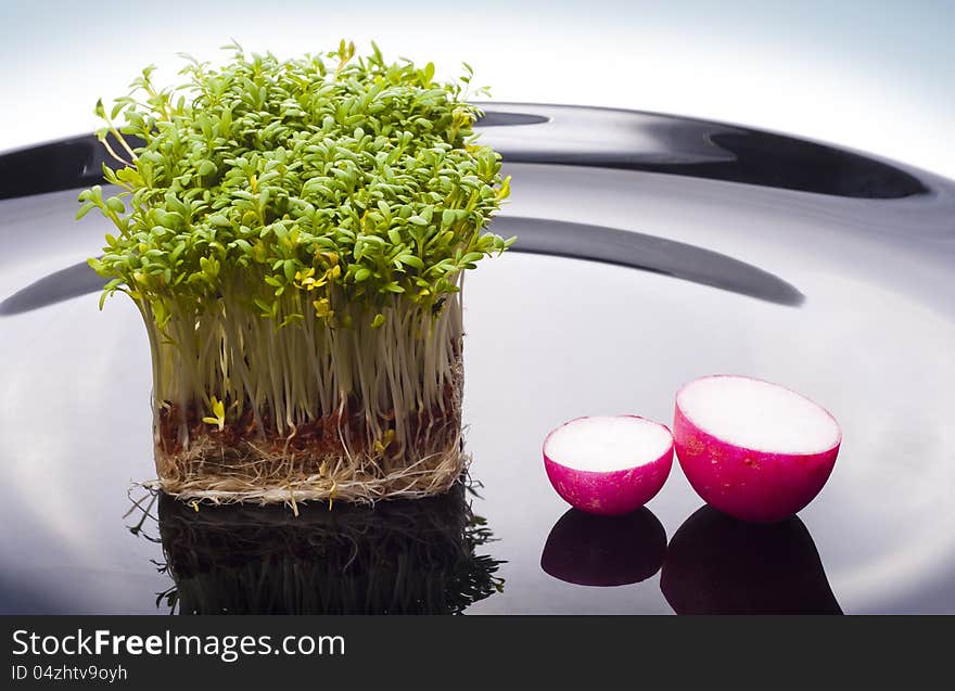 Shoots of cress and slices of radish on a black glossy dish. Shoots of cress and slices of radish on a black glossy dish.