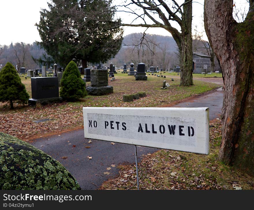 No Pets Allowed In Cemetery