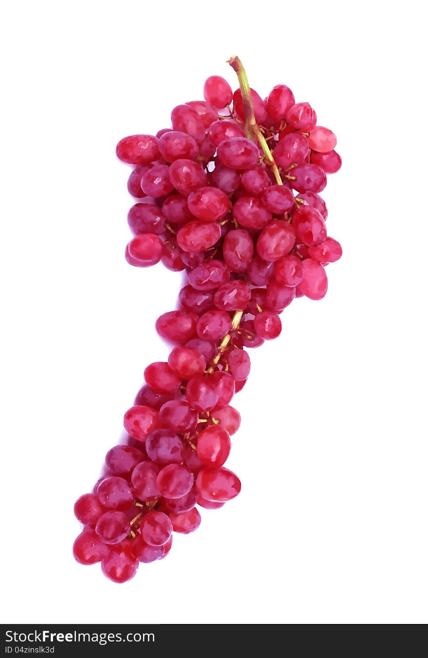 Red Grape isolated on white background for a fruit pocket label