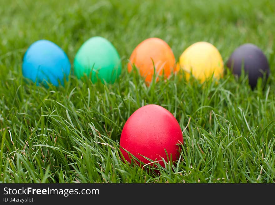 Red egg in front-  other colors eggs on th back, selective focus on the red eg. Red egg in front-  other colors eggs on th back, selective focus on the red eg