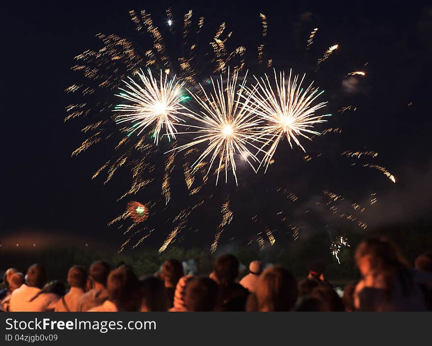 Fireworks In The Night Sky.