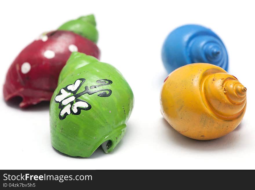 Painted sea shells with white background. Painted sea shells with white background