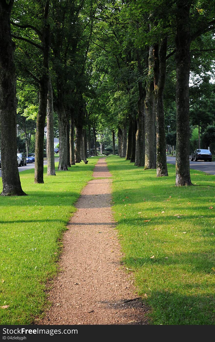 Sidewalk under the trees