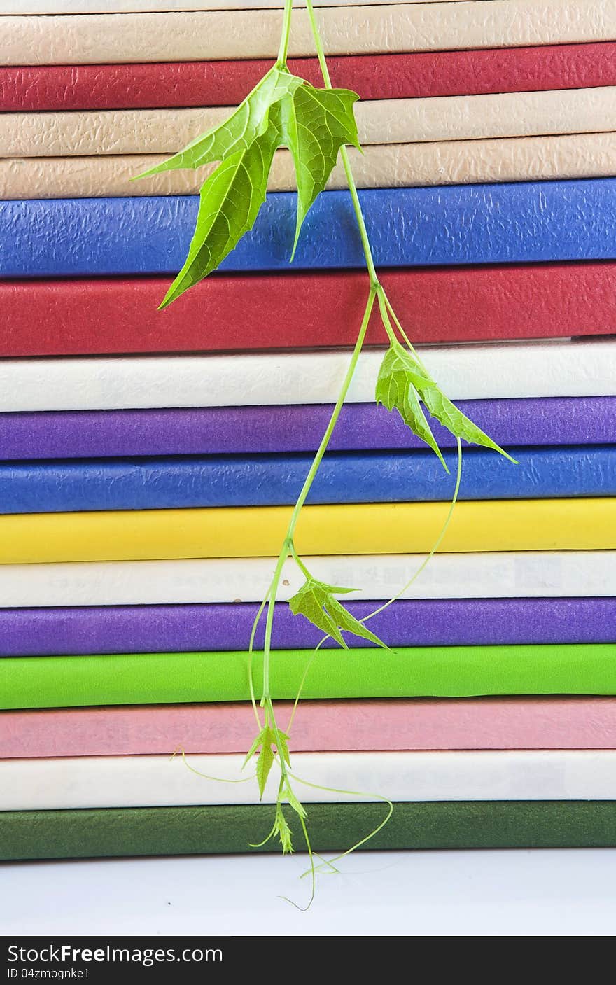 A stack of  books with green leaf. A stack of  books with green leaf