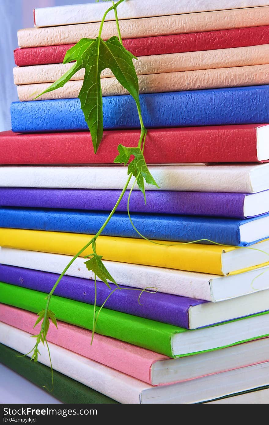 A stack of  books with green leaf. A stack of  books with green leaf