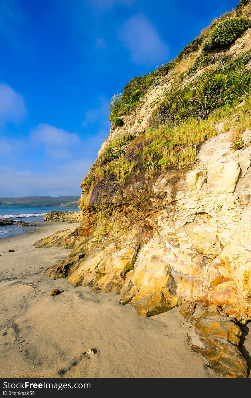 Wild shore in California on a sunny summer day