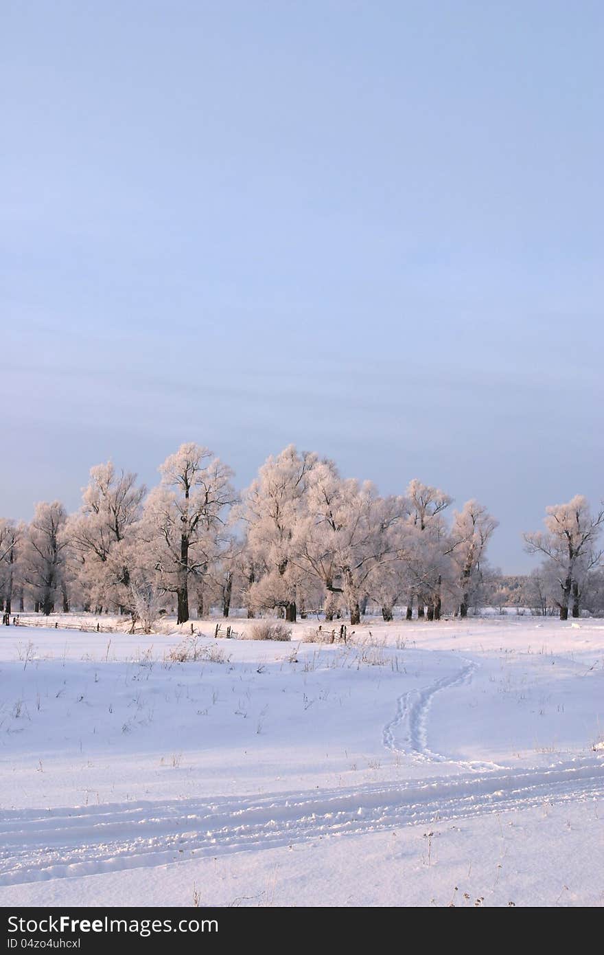 Frosty winter day in the outskirts of the village