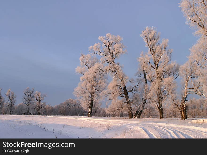 Frosty winter day in the outskirts of the village