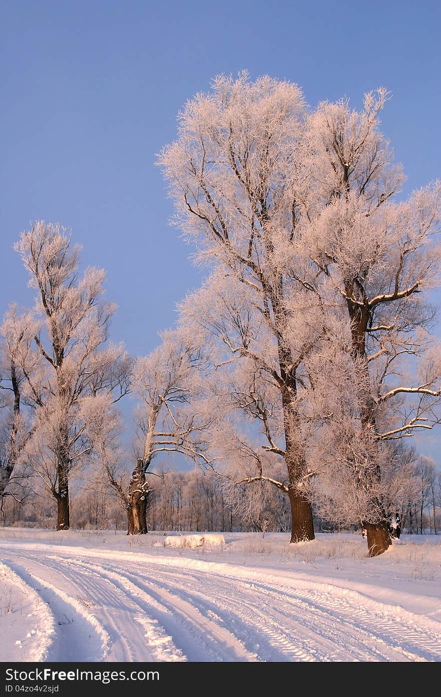 Frosty winter day in the outskirts of the village