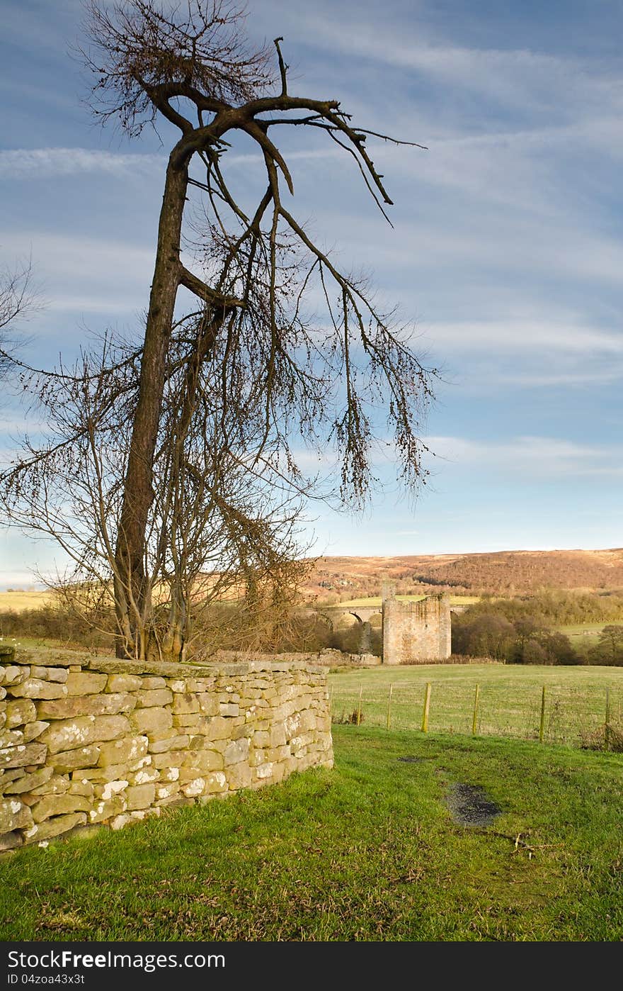 Edlingham tree and Castle