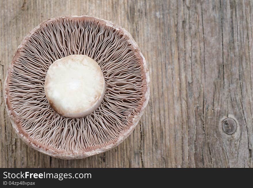 Mushroom champignon on wood texture ,a view from the bottom