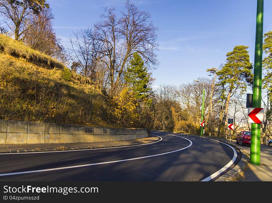 Road through the autumn forest