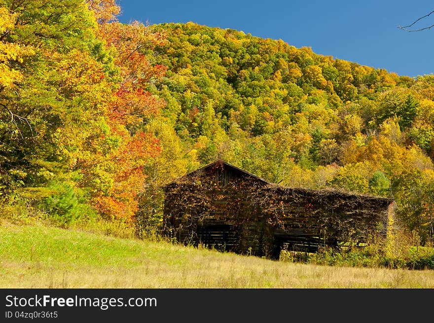 Fall colors around an old barn.