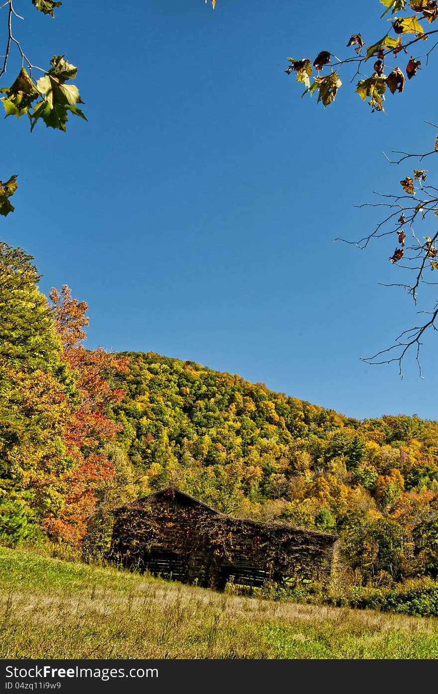 An old barn, fall colored leaves, and a blue sky. An old barn, fall colored leaves, and a blue sky.