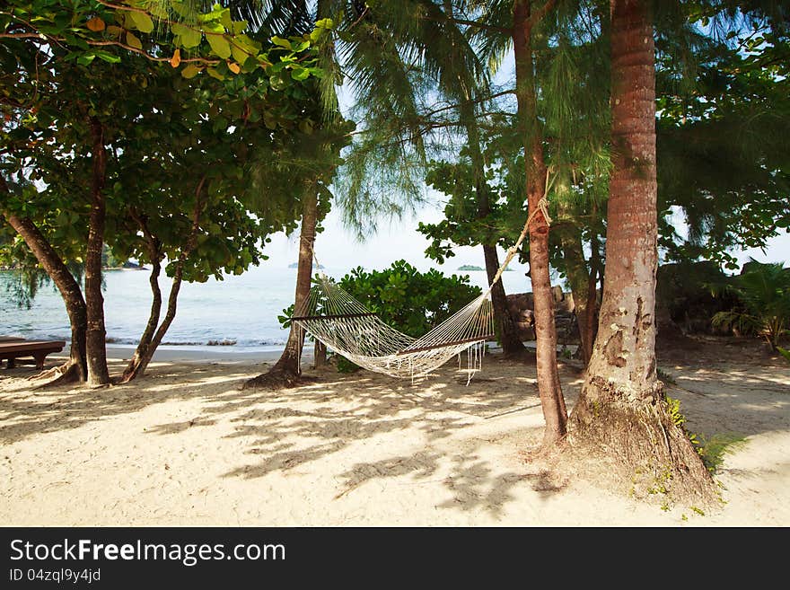 Hammock on the beach