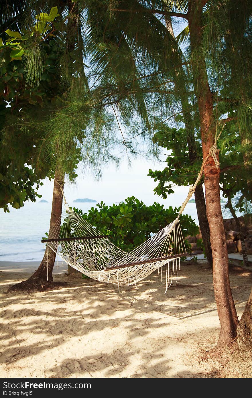 Hammock on the beach among tropical trees on the sandy beach.