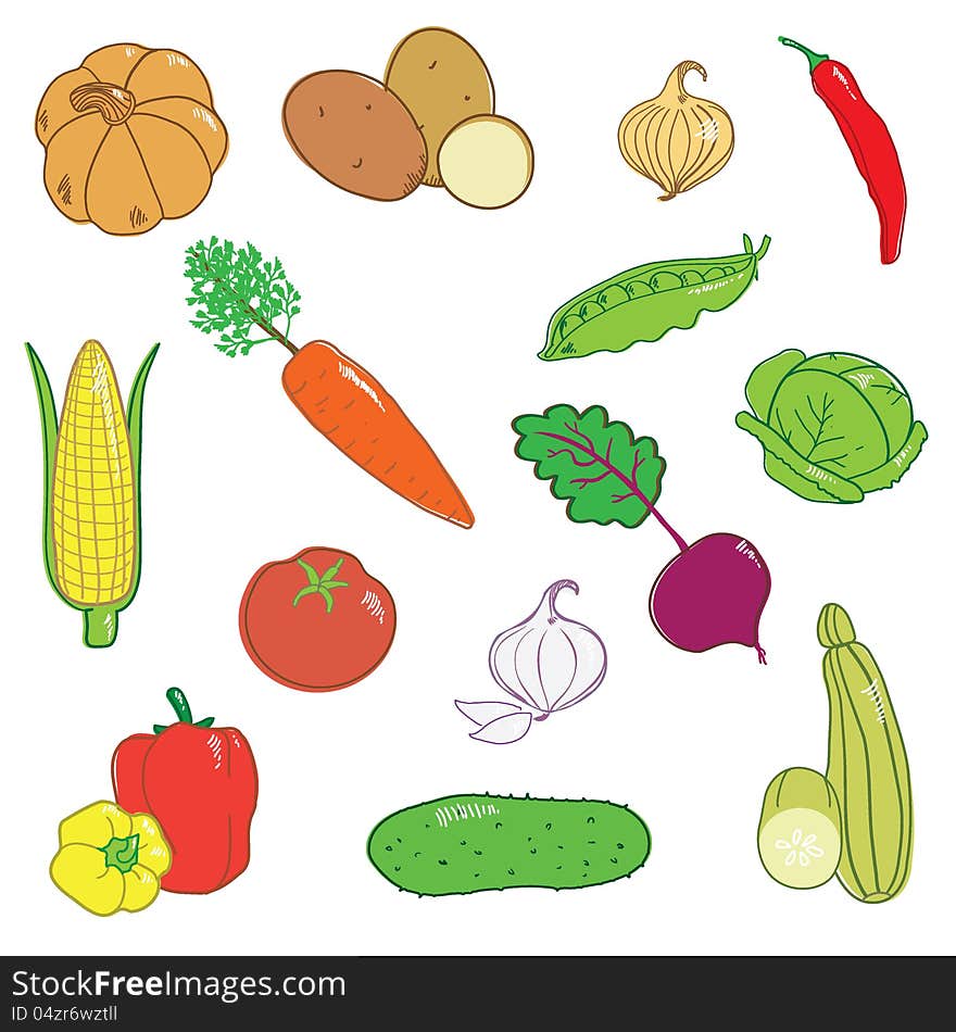 Vegetable