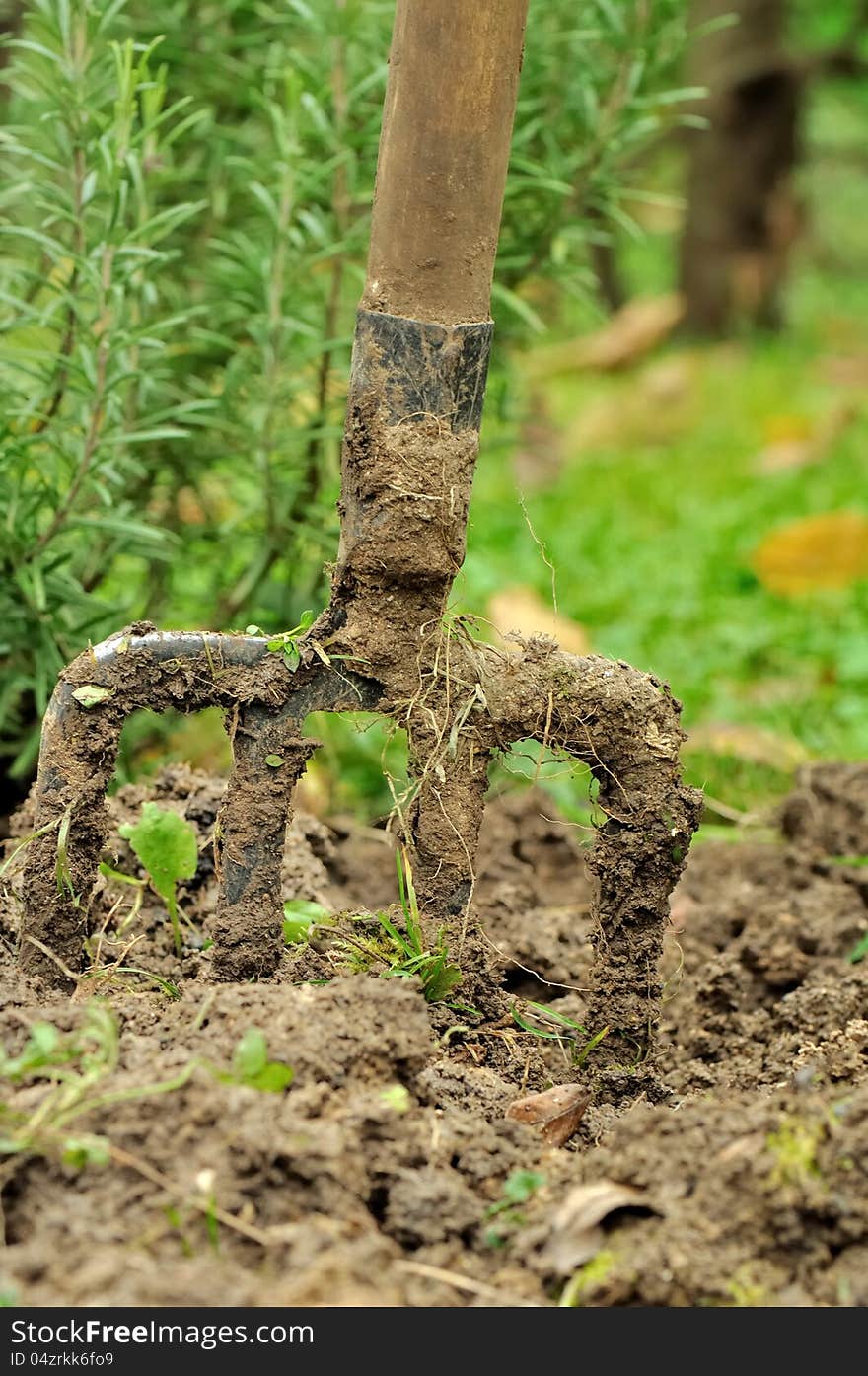 Spade planted in soil