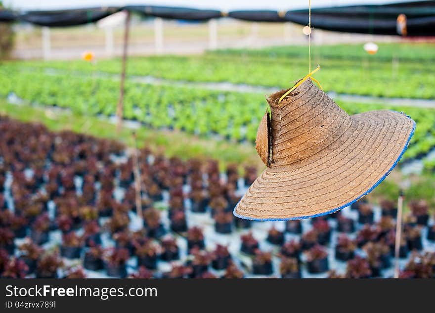 Agriculturist hat and his farm