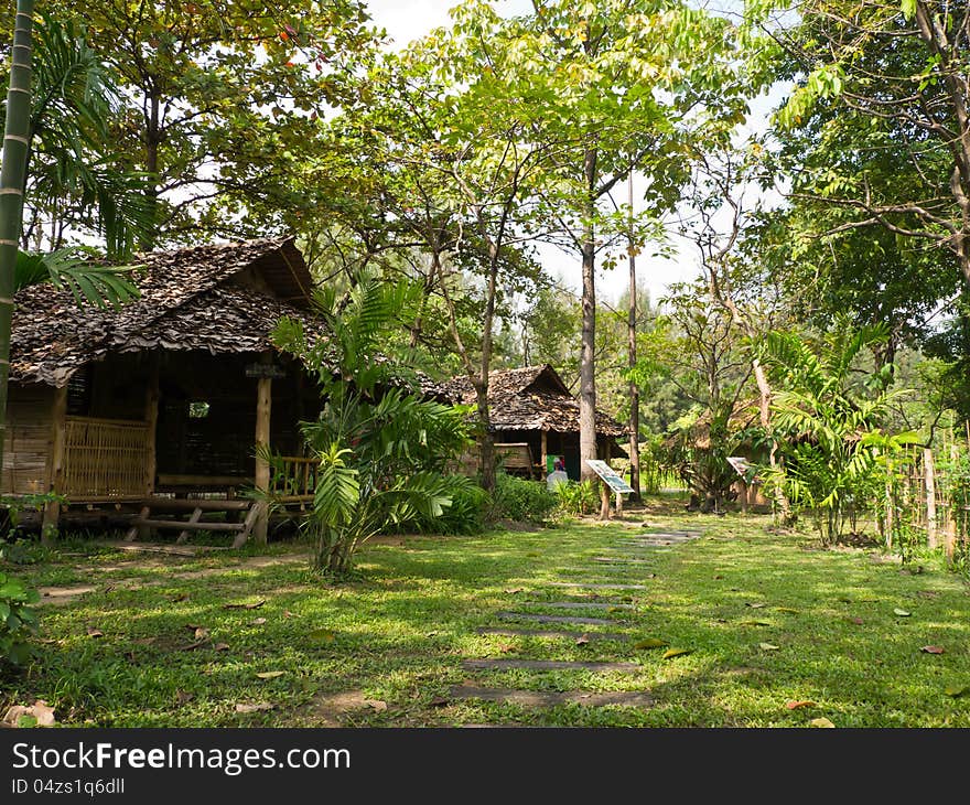 Thai Local House