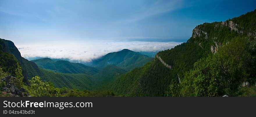 Forest mountains panorama in the clouds