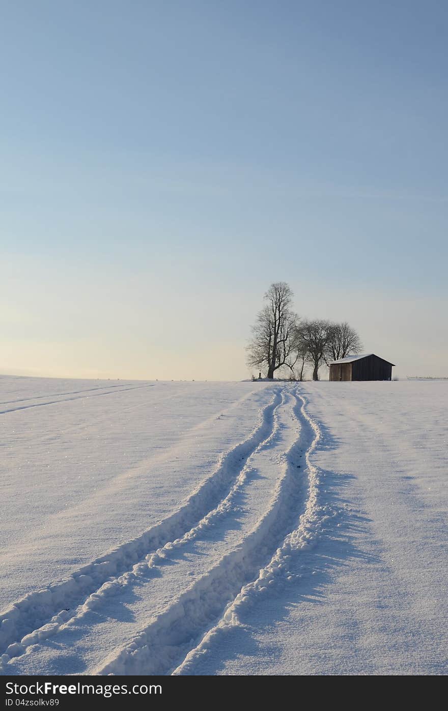 Winter Landscape