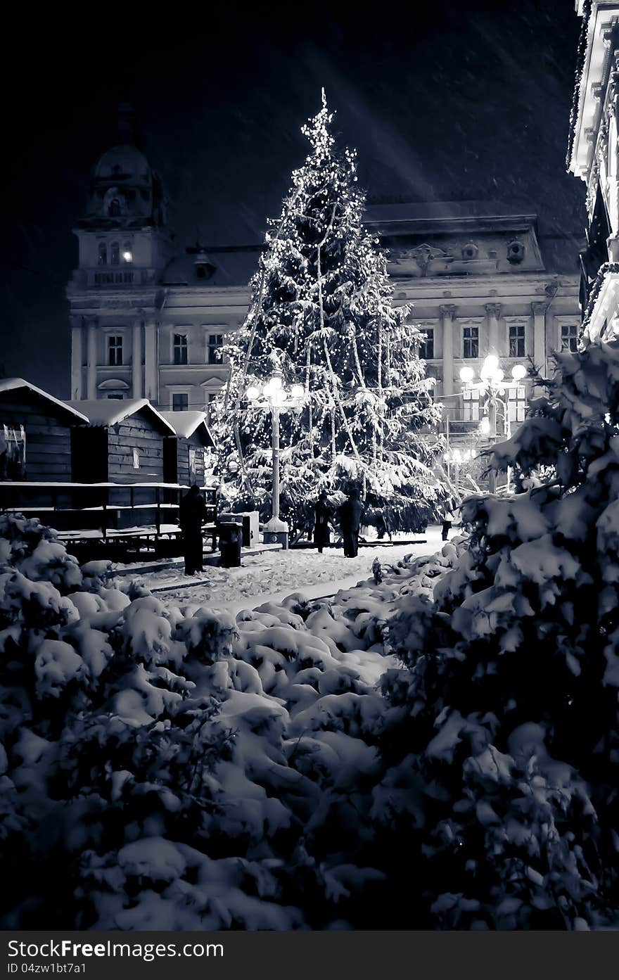 Snow covered outdoor Christmas tree with  lights