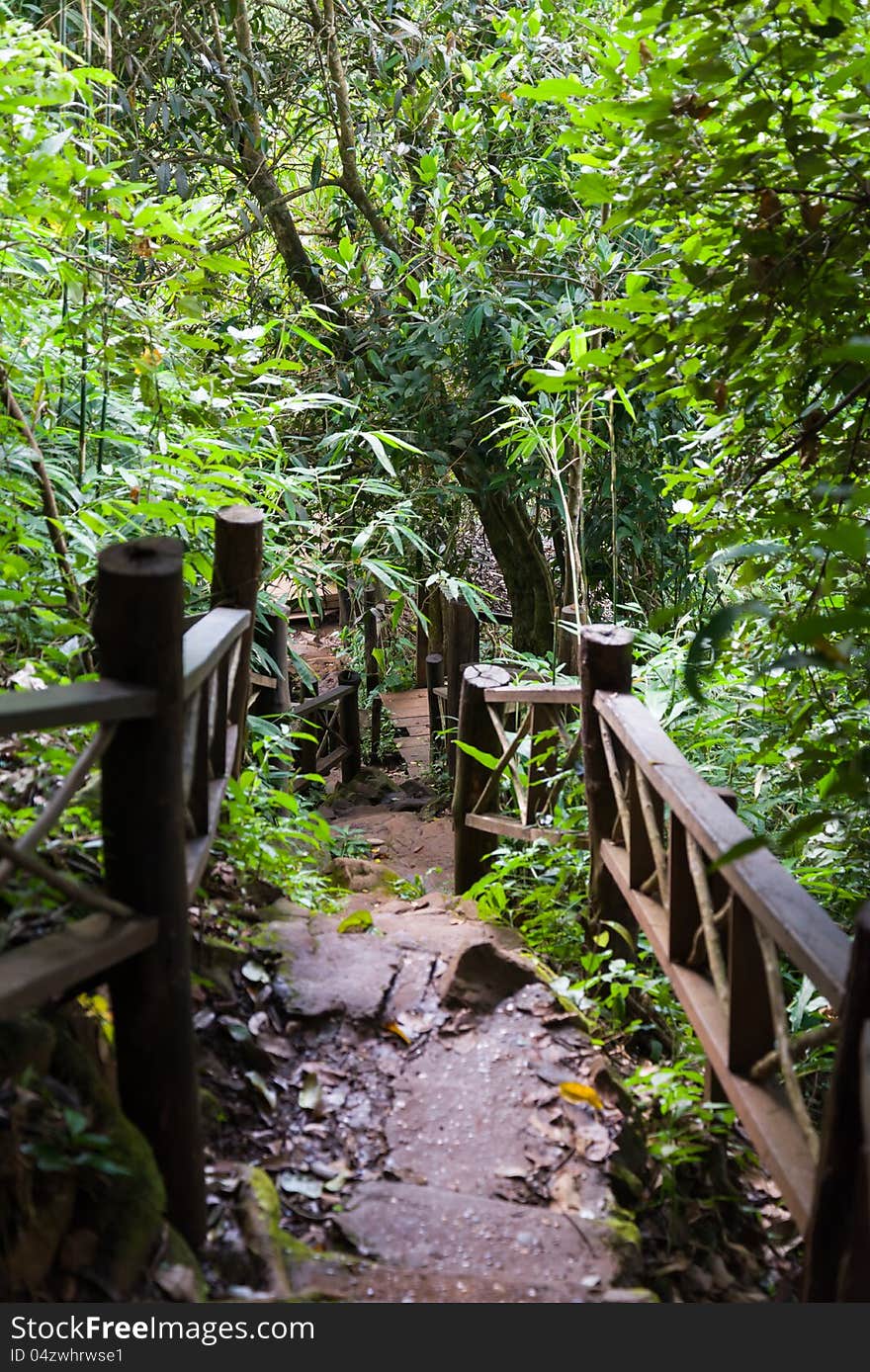 Stone stairs with wood hand rail in the forest